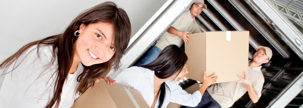 Professional Removalists Womerah